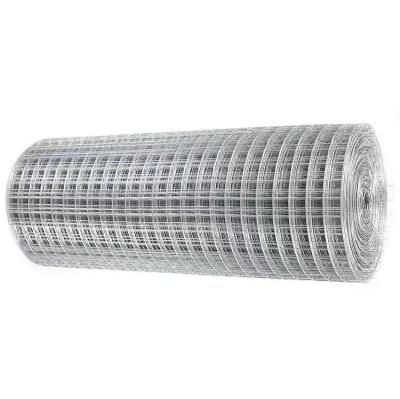 China Plain Weave 3D Hot Dip Galvanized Wire Mesh for garden Fence for sale