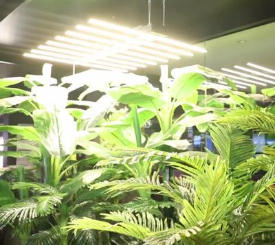 China Seed Tailoring FULL SPECTRUM SPYDER LED FACTORY GROW LAMP 680W STEPLESS DIMMABLE for sale