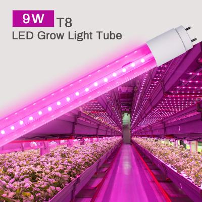 China Glass Double Ended T8 Blue / Red Led Factory To Grow Light Tube for sale