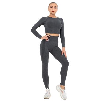 China Wholesale Breathable Seamless Crescent Stretch Long Sleeve Seamless Yoga Wear Ladies Running Fitness Sports Suit for sale