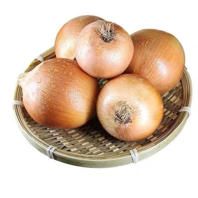 China Fresh Maker Supply New Crop Fresh Vegetables Round Oval Shape Fresh Red Onions for sale