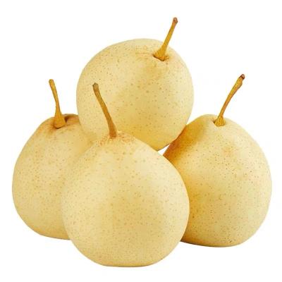 China Fresh High Quality Sweet Fresh Yellow Fresh Ya Pear for sale