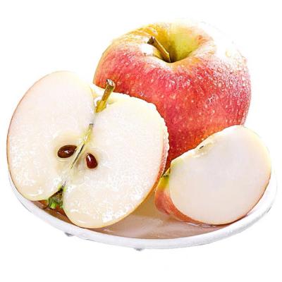 China Gala Apples Royal Organic Good Quality Fresh 75mm Made in Italy 