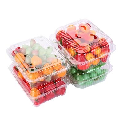 China Best Selling Disposable Food Grade Disposable Plastic Food Container With Lids for sale