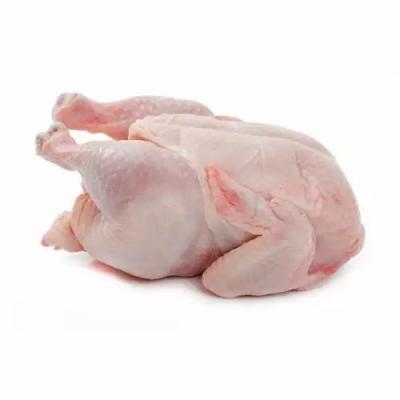 China Fast Selling Nutritious Hot Frozen Halal Meat Cooked Food Chicken With Bag Packing for sale