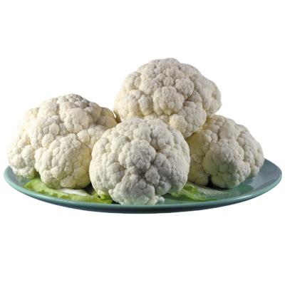 China Thoroughly Frozen Packaged Frozen Fresh Vegetable Broccoli Cauliflower For Sale for sale