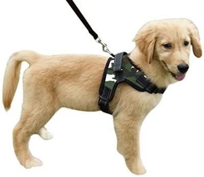 China 2020 Customized Customized Dog Arm No Traction Vest For Large Service Dogs Breathable Padded Dog Leash Collar Chest for sale