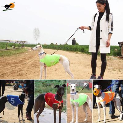 China Cool Feeling Quick Dry Dog Vest Dog Wrap Suit Greyhound Whippet Viable Summer Vest Dog Clothes for sale