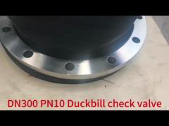 Flange type duckbill valves shipped to Kazakhstan for use at the seaside
