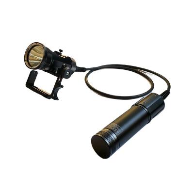 China Industrial Professional DL-D10 Spot Canister Light Scuba Dive Light For Scuba Diving for sale