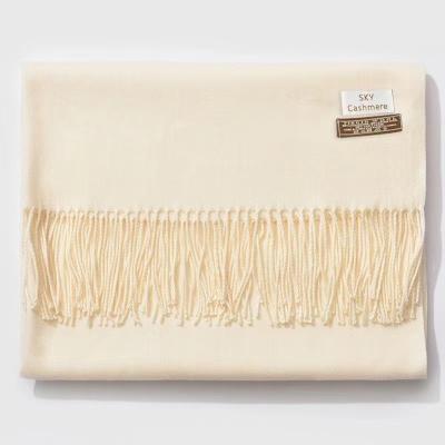 China Soft Smooth Feeling 2022 Winter Cashmere Scarf Women Thick Warm Pashmina Shawls Wraps Solid Color Tassel Lady Blanket for sale