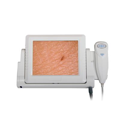 China Portable digital skin/hair analyzer 3d hair and skin diagnostic analyzer machine for sale