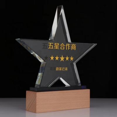 China Health Care Institute Wholesale New Design Wooden Base With Crystal Star Trophy Award for sale