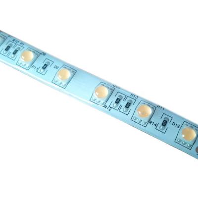 China Small LANDSCAPE Beam Angle SMD5050 IP65 LED Lens Strip for sale