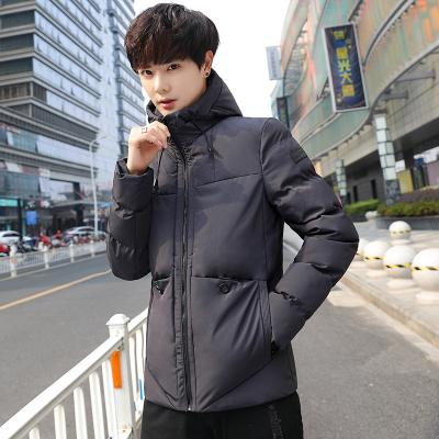 China OEM Waterproof Wholesale Cheap Service Design Fashion Style Cotton Windbreaker Free Jacket for sale