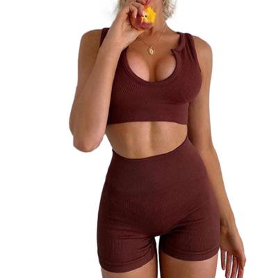 China Breathable Seamless Gym Suits Two Piece Sports Set Women Active Wear Fitness Suits Vest Bra Gaiters Set Fitness Yoga Suit for sale