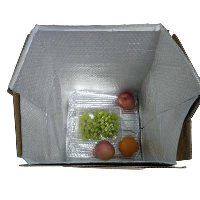 China Barrier Cold Chain Box Lining Cooler Bag Foil Lined Insulated Bubble Pouch Packaging Cold Shipping for sale