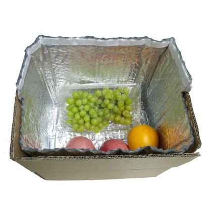 China Cold chain waterproof delivery insulated box liner bag for fruit vegetables frozen food for sale