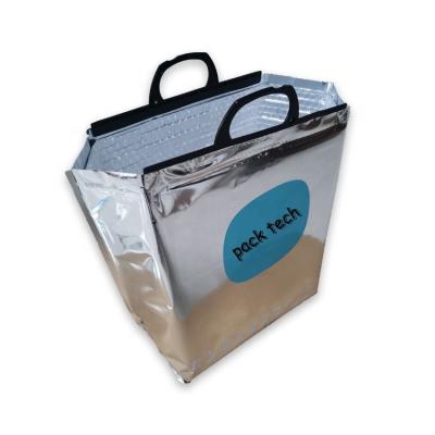 China Waterproof Reusable Tote Cooler Carry Bag For Insulated Frozen Food, Fruit, Wine for sale