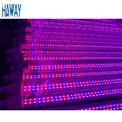 China Seed Starting Full Spectrum 20w T8 LED Tube Red Blue Indoor Grow Light System For Hydroponics Plant Grow LED for sale