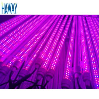 China Seed Starting Russia T8 Waterproof IP65 Lamps DC 2835SMD Blubs Tube 60cm 90cm 14W AC85-265V DC12-24V Cold Storage LED Lighting Direct GZ China for sale