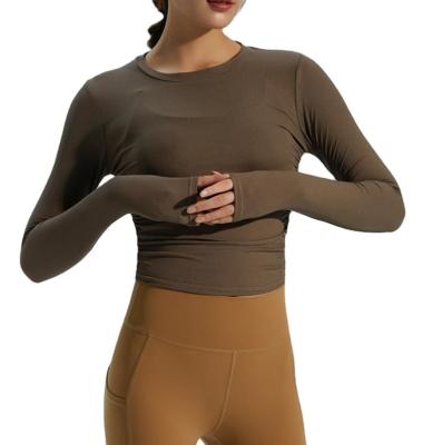 China Breathable Hot Selling Fitness Long Sleeve Yoga Wear Sport T-shirts Elastic Top For Woman for sale