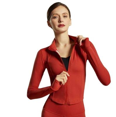 China Autumn New Style Yoga Coat Breathable Sports Support Collar Top Fitness Clothing Quick Dry Slim Long Sleeves for sale