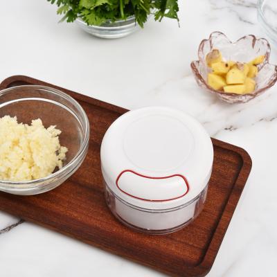 China Mini Viable Garlic Mash Manual Kitchen Garlic Extractor Cutting and Extorting Miniature Garlic Blender Cooking Machine for sale