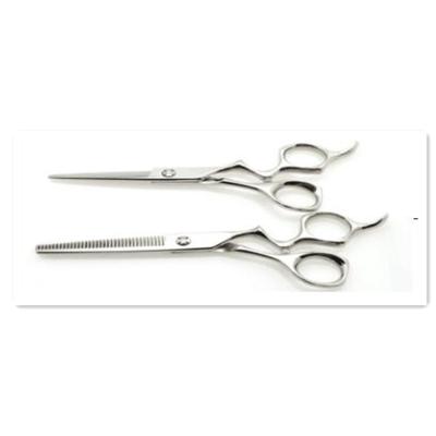 China Salon Scissors Quality Stainless Steel Right Handed 9cr Hair Cutting Shears for sale