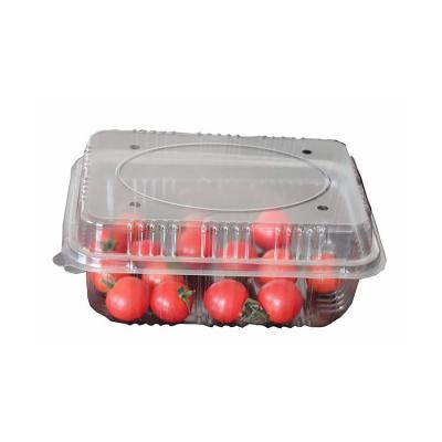 China Food Grade Disposable Transparent PET Plastic Clear Food Container Box For Salad Fruit Tray for sale