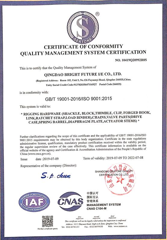 ISO9001 - Qingdao Bright Future I/E Co., Ltd.