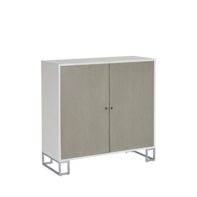 China Modern hot sale wooden two door multifunctional storage cabinet for office and household furniture for sale