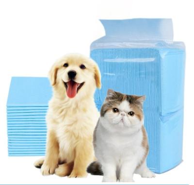 China Disposable Non-Absorbing Non Viable Magical Urine Protection Dog Puppy Dog Pet Training Pad Agility Training Disposable Products for sale