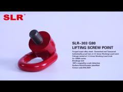 SLR303 - G80 LIFTING SCREW POINT