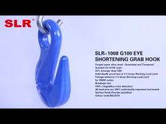 SLR1008- G100 EYE SLING HOOK