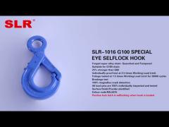 SLR1016-G100 SPECIAL EYE SELFLOCKING HOOK