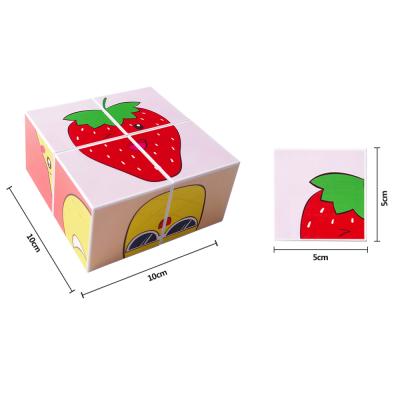 China NEW 2019 Potential Toys Set For Kids Puzzle Magnetic Cube Building Block With Fruit Pattern for sale