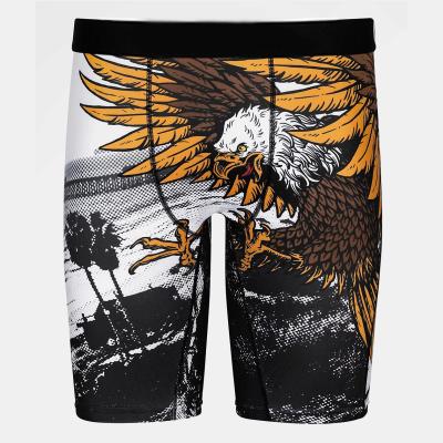 China Antibacterial sport for new 2021 style men breathable boxer briefs man printing underwear for sale