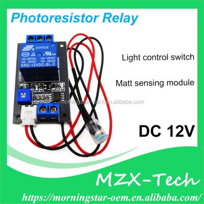 China DC 12V Photoresistor Relay Module Epoxy Light Detect Sensor With Timer Car Light Control for sale