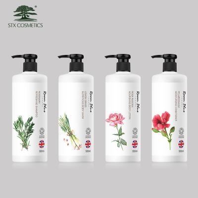 China Replenishing Private Label Replenishing Hair Care Smoothing & Moisturizing Extra Dry Shampoo for sale