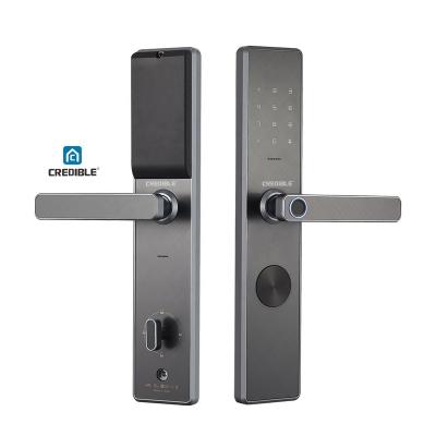 China Tuya Waterproof Smart Keyless APP Fingerprint Rfid Digital Key Door Life Smart Lock For Home for sale