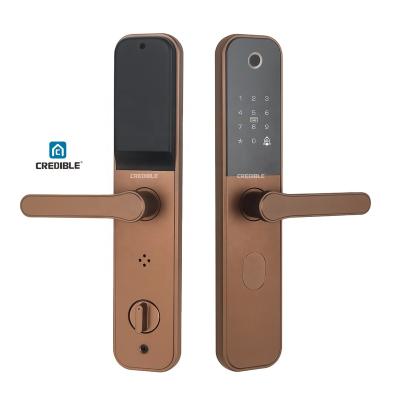 China Waterproof Biometric Ttlock Password Lock Smart Fingerprint Aluminum Door For Home Door Lock With Fingerprint Door Lock Smart Home for sale