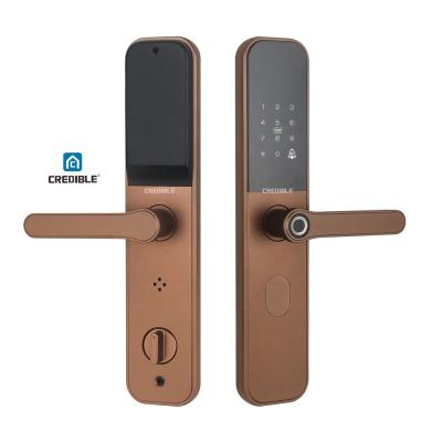 China Keyless Electric Smart Biometric Door Lock Digital Wifi Door Lock Outdoor Waterproof Password RFID Card Biometric Smart Lock for sale