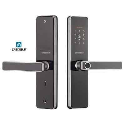 China Tuya WiFi Waterproof App Door Lock Smart Biometric Fingerprint Door Handle Keyless Digital Lock for sale