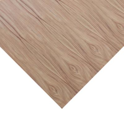 China Contemporary Factory Directly Sell 15mm 18mm Parota / Tzalam Laminated Plywood for sale