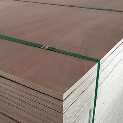 China New design contemporary parota keruing 18mm marine plywood 2.4 x 1.2 for wholesales for sale