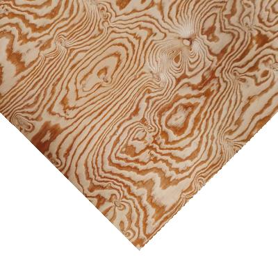 China 15.0mm traditional hardwood core larch veneer 1220*2240mm larch plywood for sale