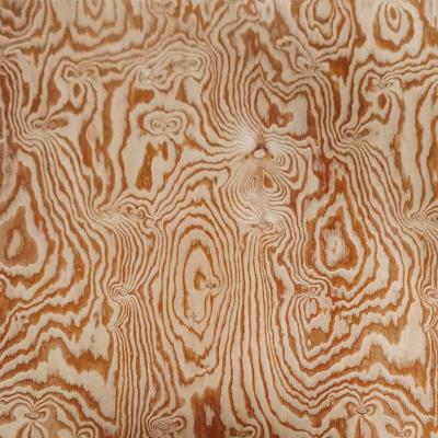 China 15.0mm traditional combi core larch veneer 1220*2240mm larch plywood for sale