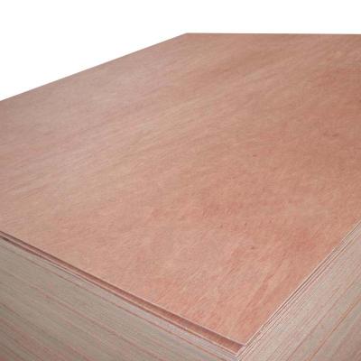 China 18.0mm contemporary commercial poplar core 3*7 bintangor okoume plywood for sale