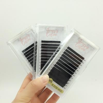 China Natural Long Eyelashes Wholesale Private Label, Pre Made Volume Fans Of Mink Lashes, Individual Mink Eyelash Extension for sale